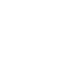 Next.js